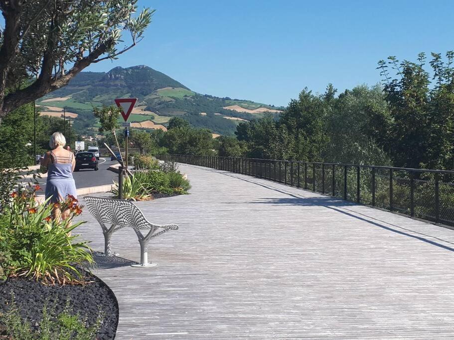 דירות Les Bambous - Rez De Jardin Millau Centre - Parking Privatif, Wifi מראה חיצוני תמונה