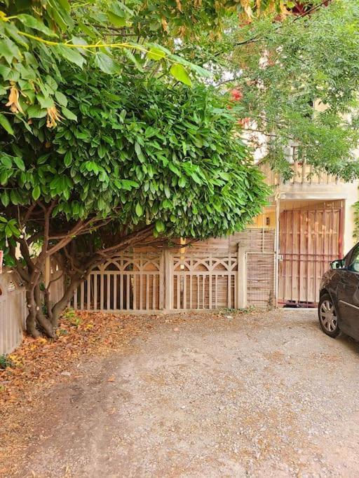 דירות Les Bambous - Rez De Jardin Millau Centre - Parking Privatif, Wifi מראה חיצוני תמונה